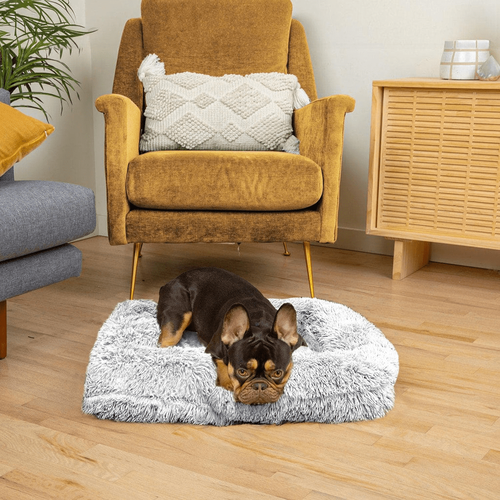 SNUGPAW - Orthopädisches Hundebett