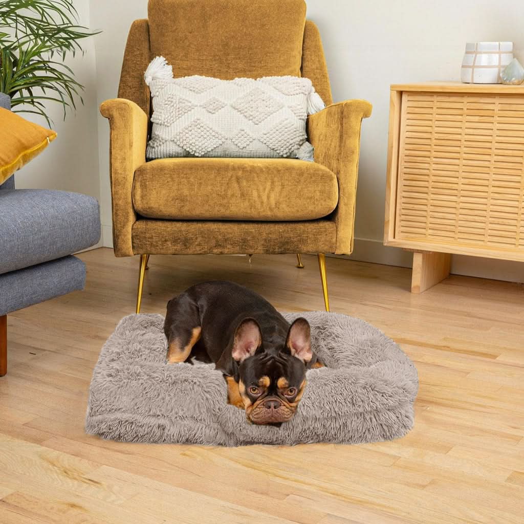 SNUGPAW - Orthopädisches Hundebett