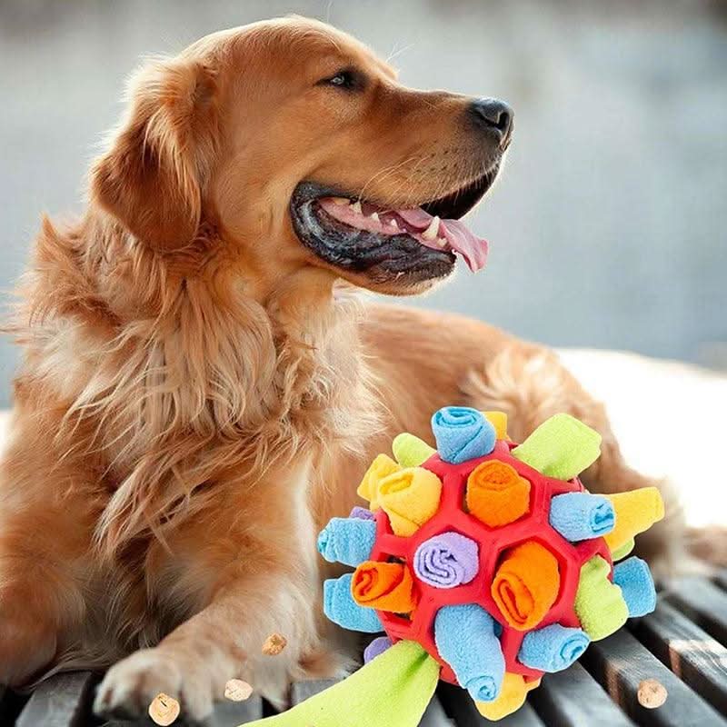 SNUFFLEFUN – Interaktives Schnüffelspielzeug Zur Mentalen Auslastung Von Haustieren