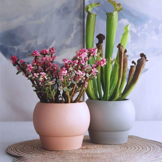 SYLENA – Elegante Keramikvase für Zeitloses Design