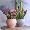 SYLENA – Elegante Keramikvase für Zeitloses Design