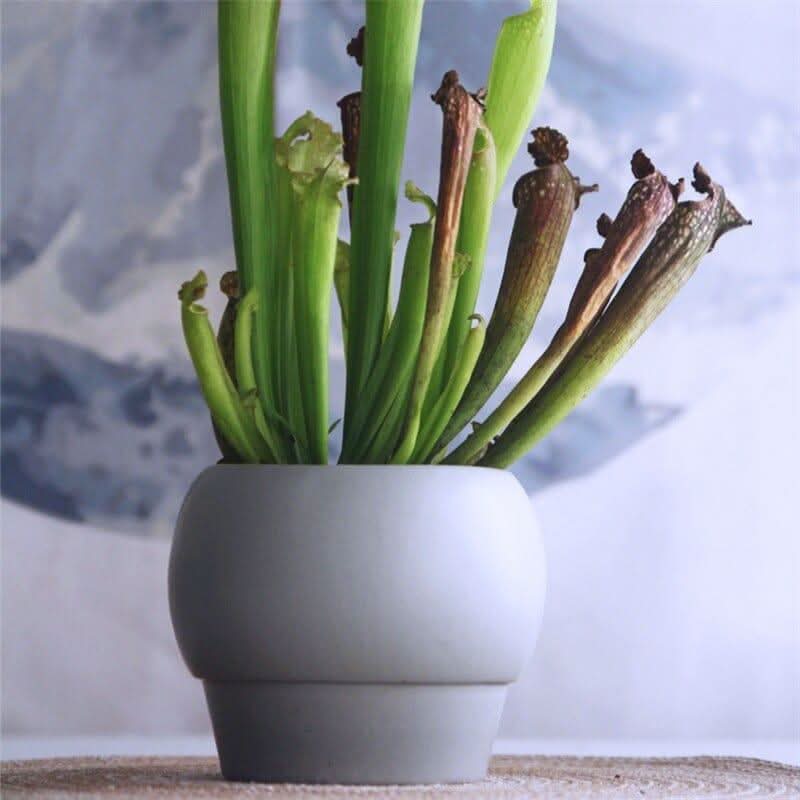 SYLENA – Elegante Keramikvase für Zeitloses Design