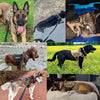  Tacticalk9 dog cable tree - robust & comfortable design for safe training-6