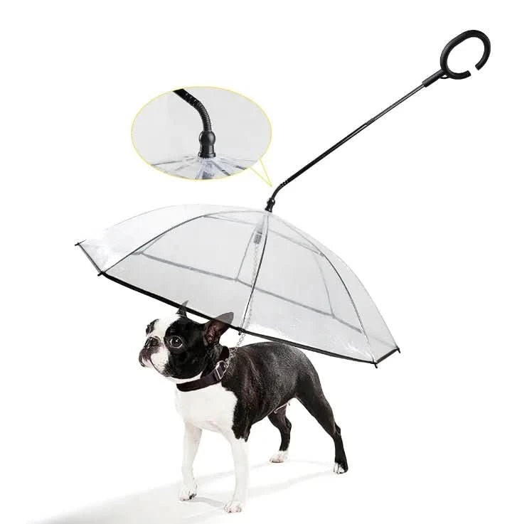 RegenSchutz Regenschirm – Transparenter Hundeschirm für Trockene Spaziergänge bei Regen