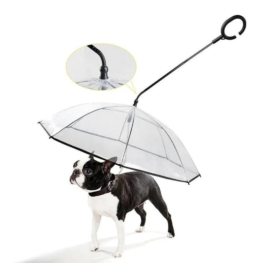 RegenSchutz Regenschirm – Transparenter Hundeschirm für Trockene Spaziergänge bei Regen